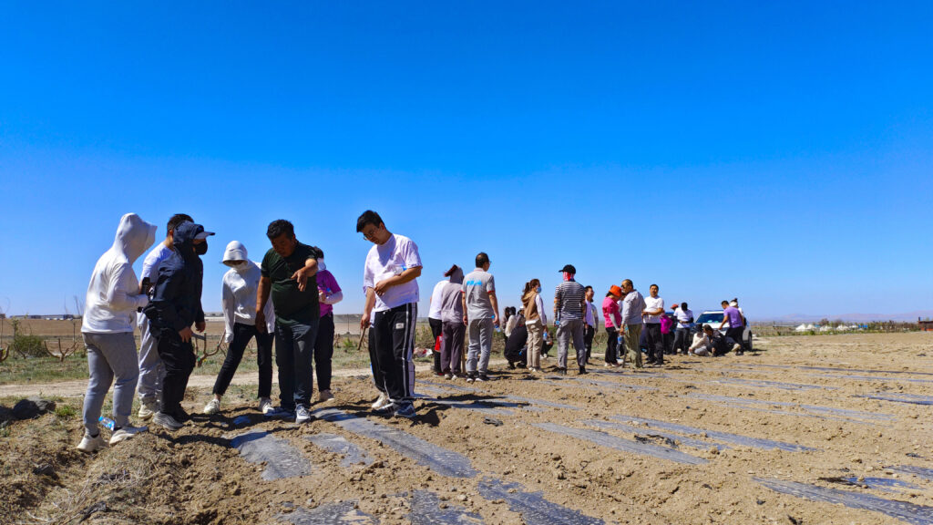 走进田园 播种希望|永利总站物流春种团建活动