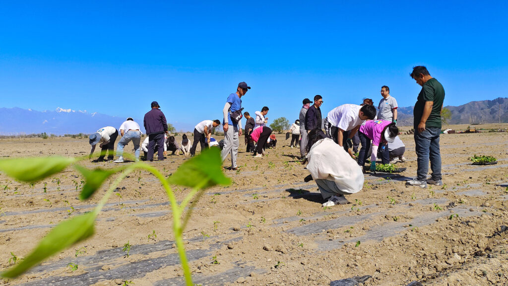 走进田园 播种希望|永利总站物流春种团建活动