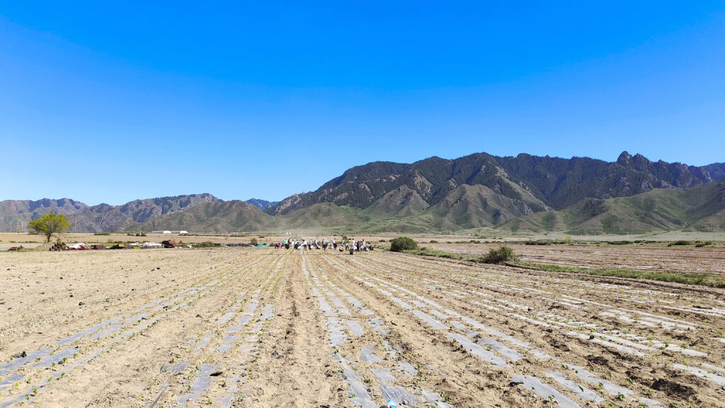 走进田园 播种希望|永利总站物流春种团建活动